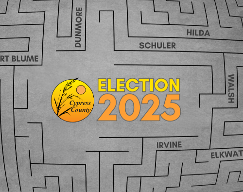 Election 2025
